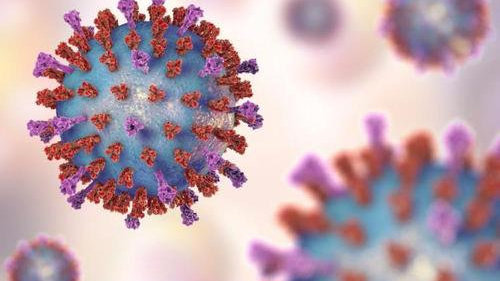 科学家发现机体抗病毒感染新型药物靶点
